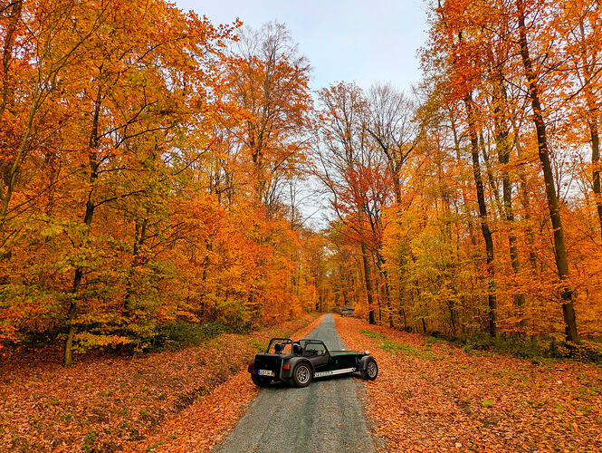 PXL_20251031_123324922-EDIT