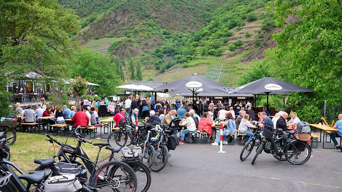 2025-06-29 Vatertag Mosel-09